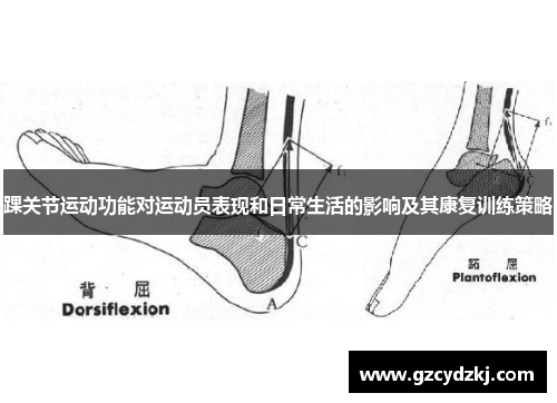 踝关节运动功能对运动员表现和日常生活的影响及其康复训练策略